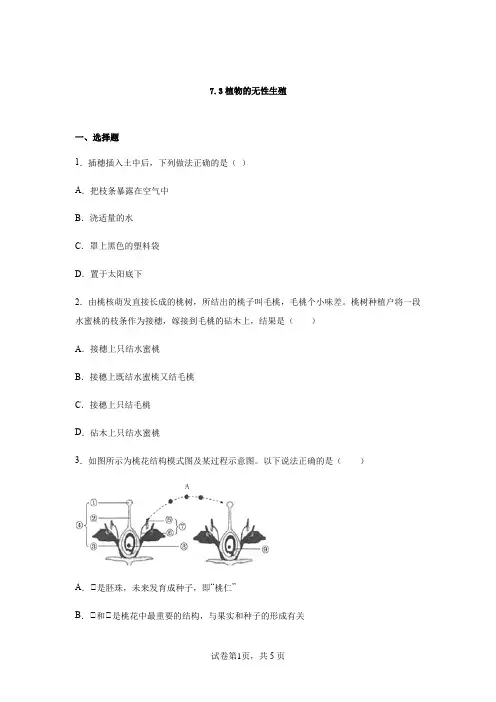 7.3植物的无性生殖 达标练习(含答案)