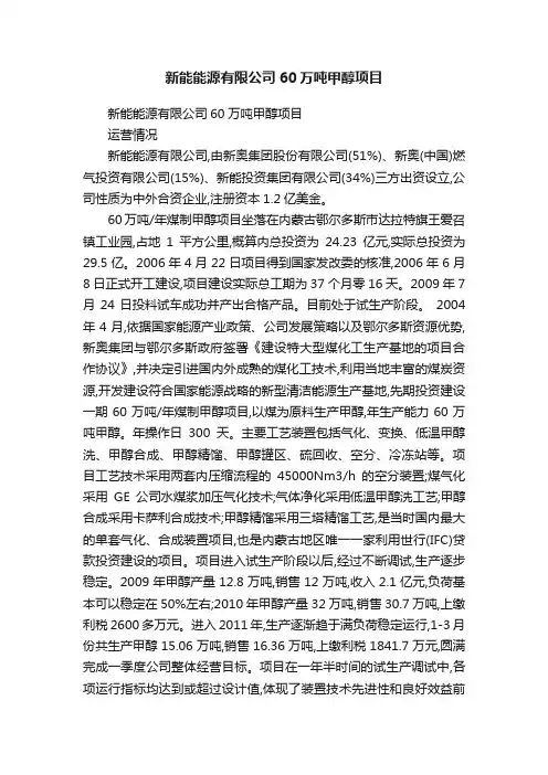 新能能源有限公司60万吨甲醇项目