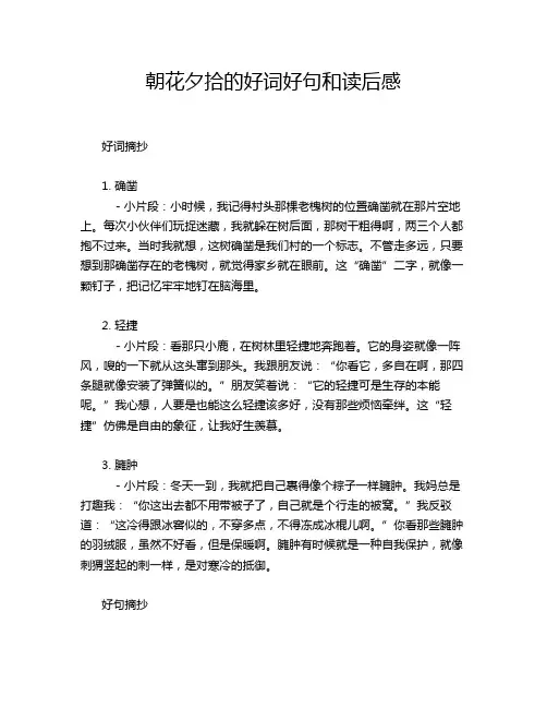 朝花夕拾的好词好句和读后感