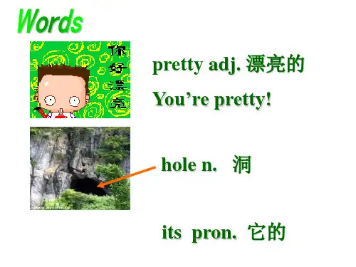 八年级英语plant a plant课件2(1)(PPT)5-1