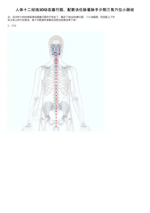 人体十二经络3D动态循行图，配歌诀任脉督脉手少阳三焦穴位小肠经