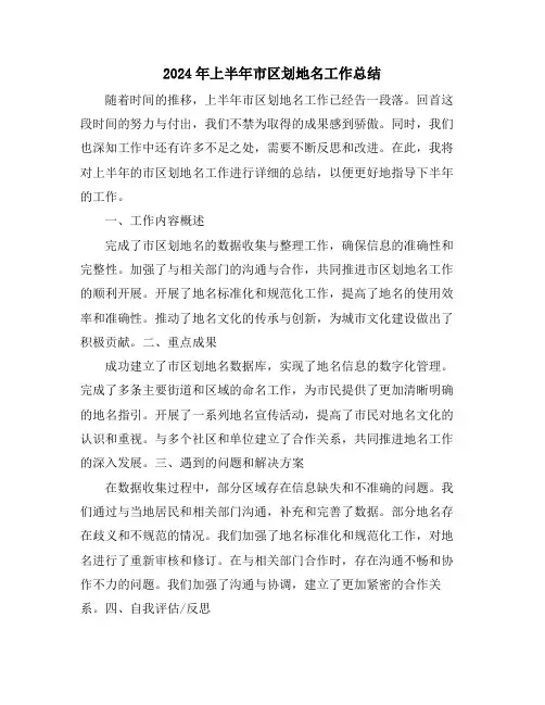2024年上半年市区划地名工作总结