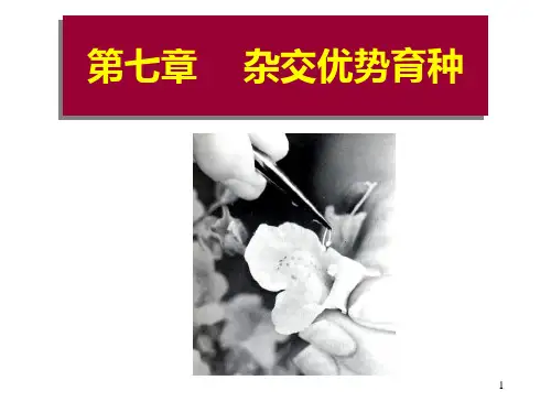 园林植物花卉育种学第7章 杂种优势的利用PPT课件