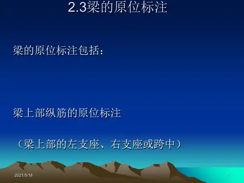 平法梁-原位标注