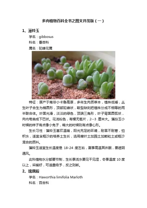 多肉植物百科全书之图文并茂版（一）
