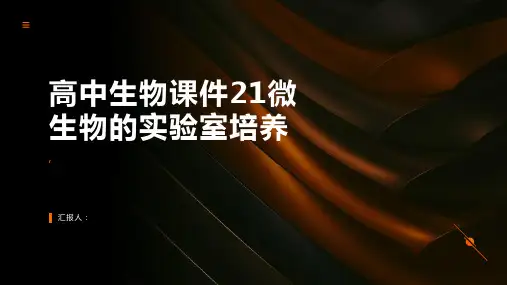高中生物课件21微生物的实验室培养