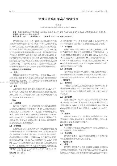 沿淮流域猫爪草高产栽培技术