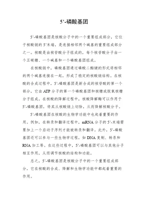 5’-磷酸基团