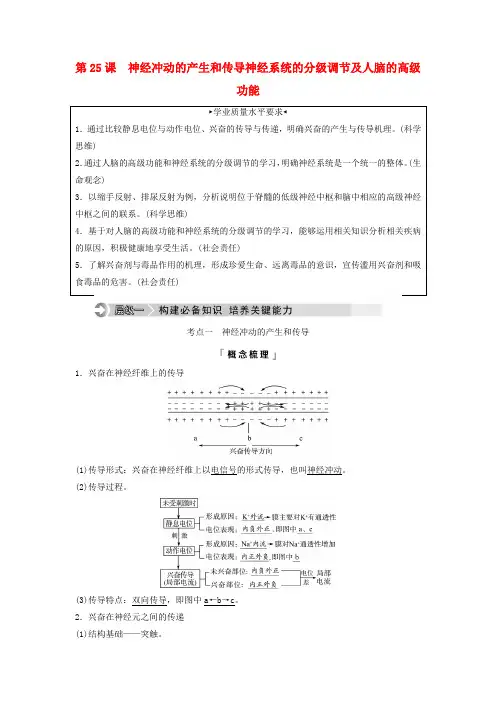 2024版高考生物一轮总复习第8单元生命活动的调节第25课神经冲动的产生和传导神经系统的分级调节及