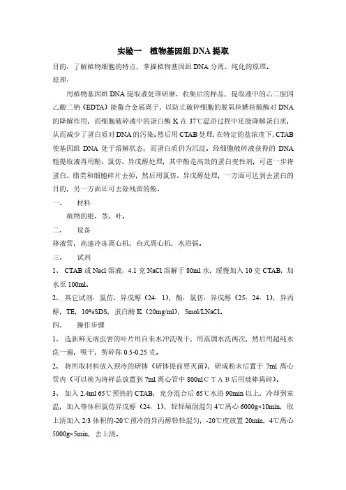 试验一植物基因组DNA提取