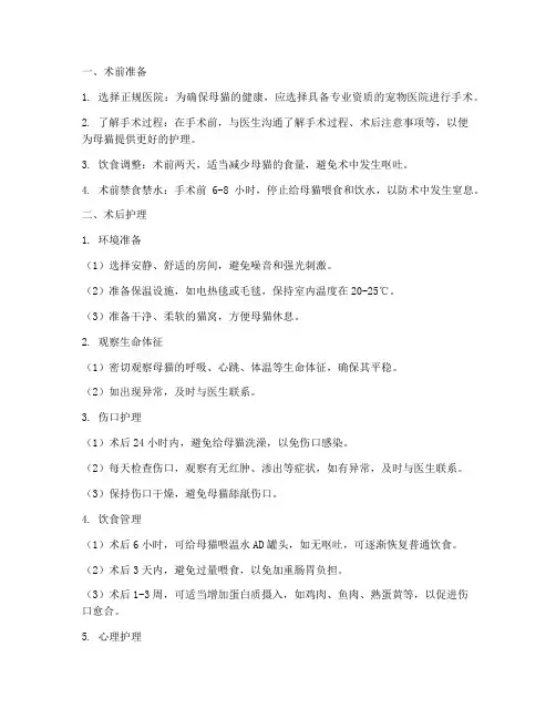 母猫绝育术后护理措施
