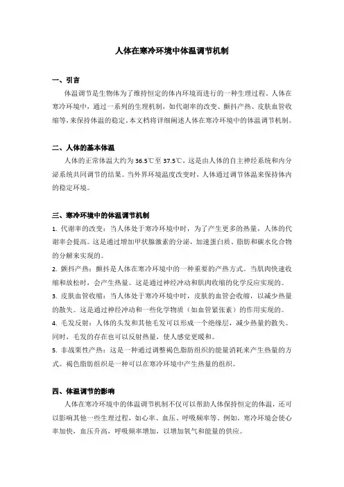 人体在寒冷环境中体温调节机制