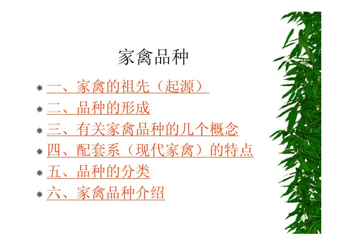 家禽品种