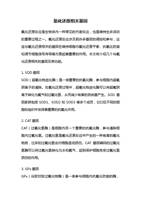 氧化还原相关基因