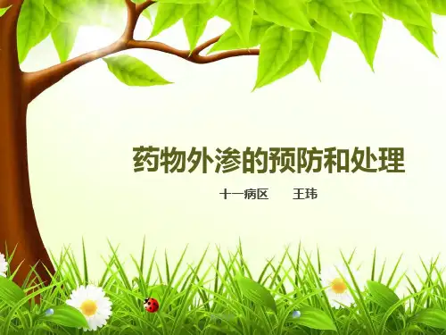 药物外渗的预防和处理  ppt课件
