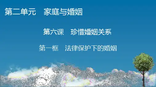 高中思想政治选择性必修第2册 第6课 第1框 第一框 法律保护下的婚姻