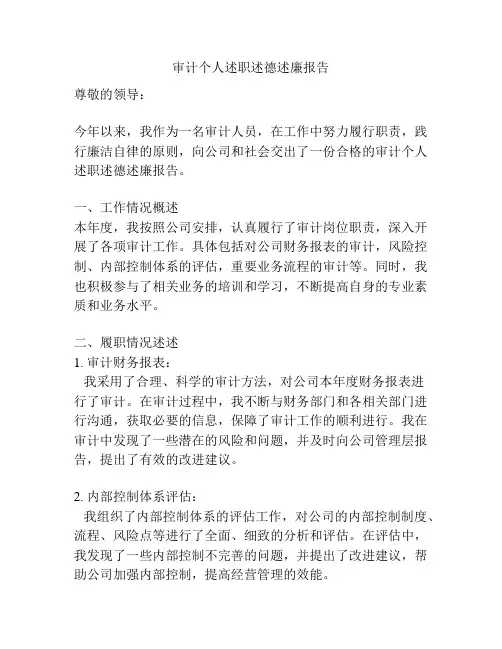 审计个人述职述德述廉报告