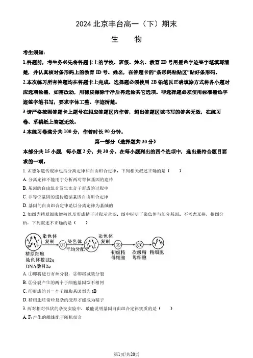 2024北京丰台高一(下)期末生物(教师版)