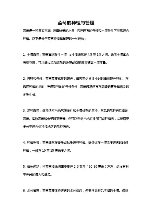 蓝莓的种植与管理