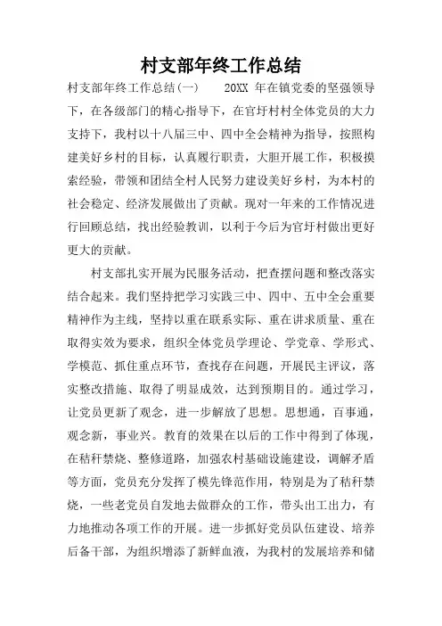 村支部年终工作总结