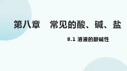 溶液的酸碱性ppt课件