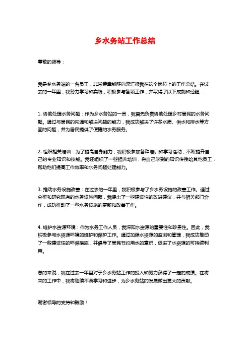 乡水务站工作总结