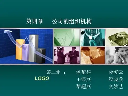 公司法第四章