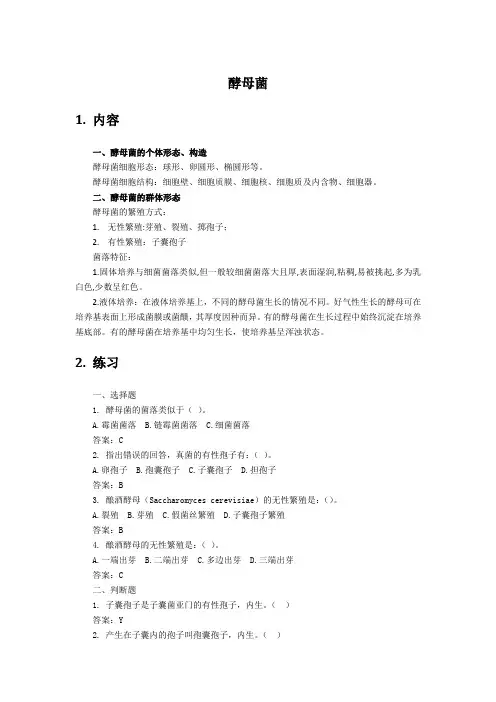 知识点2酵母菌