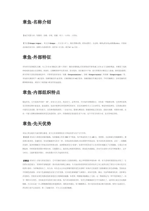 章鱼