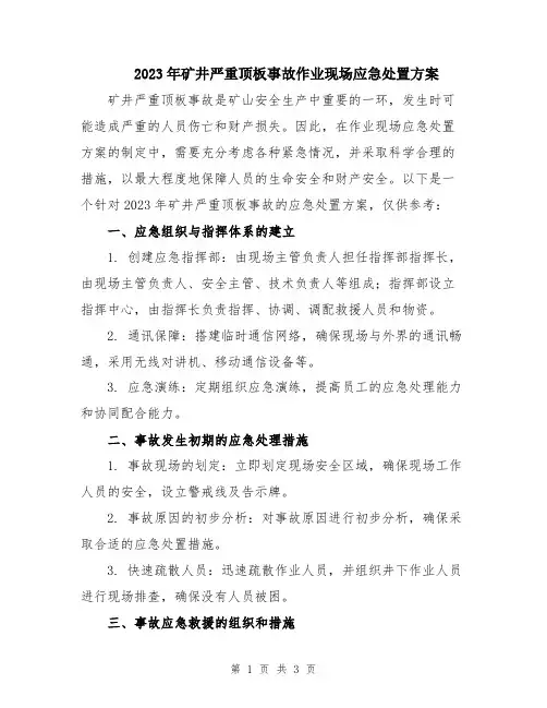 2023年矿井严重顶板事故作业现场应急处置方案