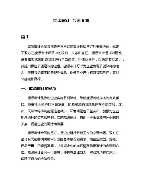 能源审计 合同6篇