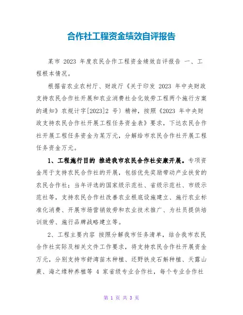 合作社项目资金绩效自评报告