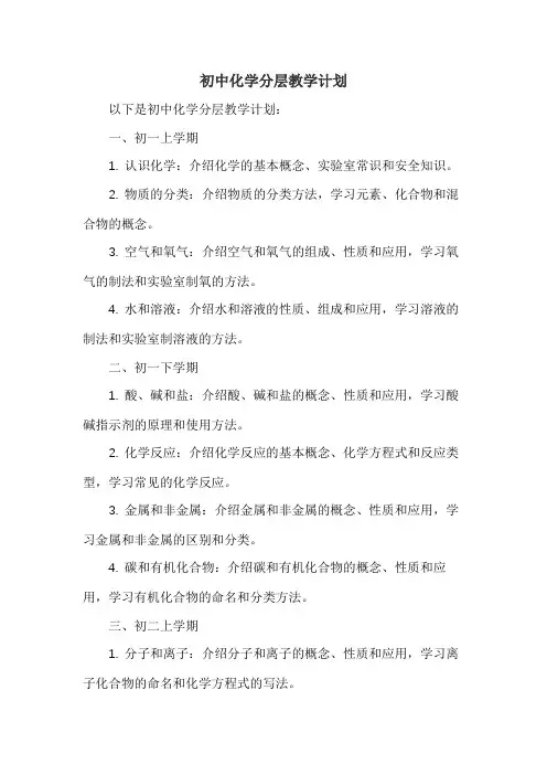 初中化学分层教学计划