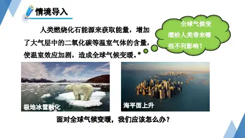 4.3低碳生活(课件 30张PPT)