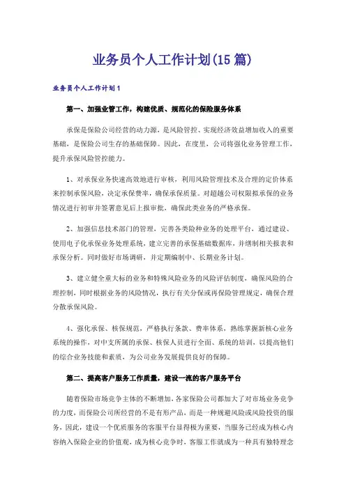 业务员个人工作计划(15篇)