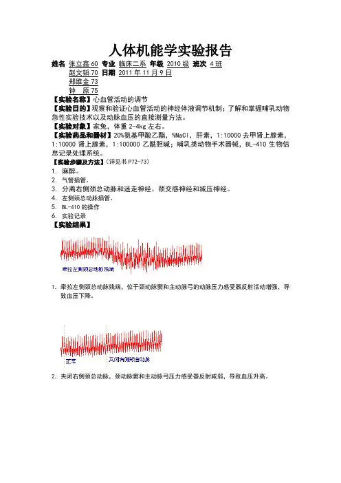 心血管活动的调节