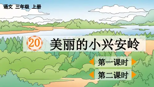 部编版三年级语文上册第20课 美丽的小兴安岭 含课时练习2