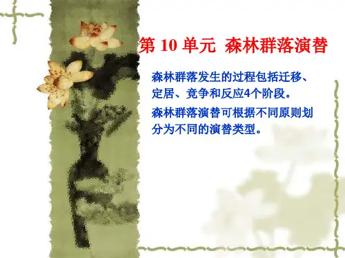 森林群落发育及演替ppt课件