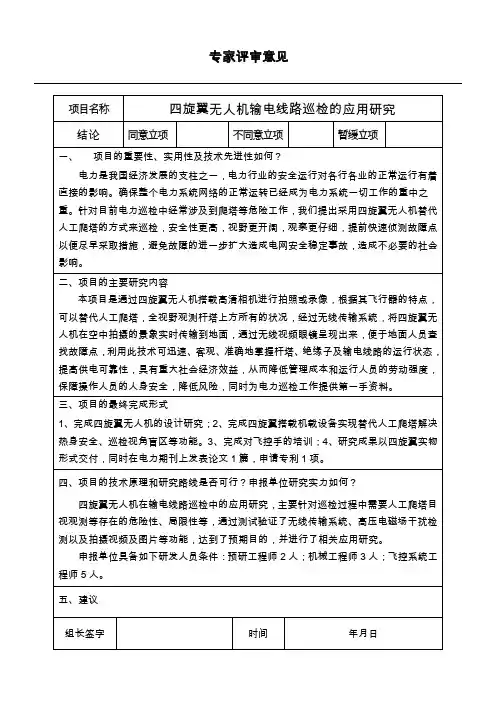 专家评审意见模板