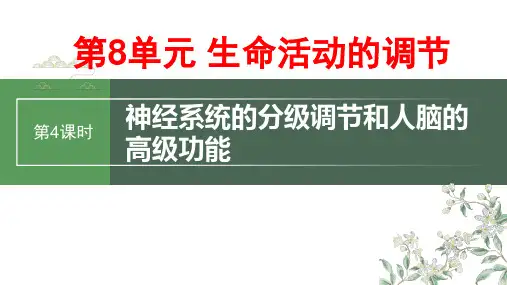 第8单元 生命活动的调节：第4课时 神经系统的分级调节和人脑的高级功能