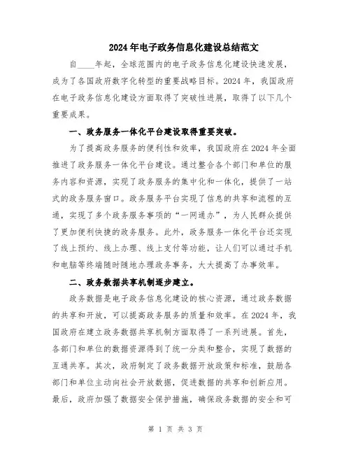 2024年电子政务信息化建设总结范文
