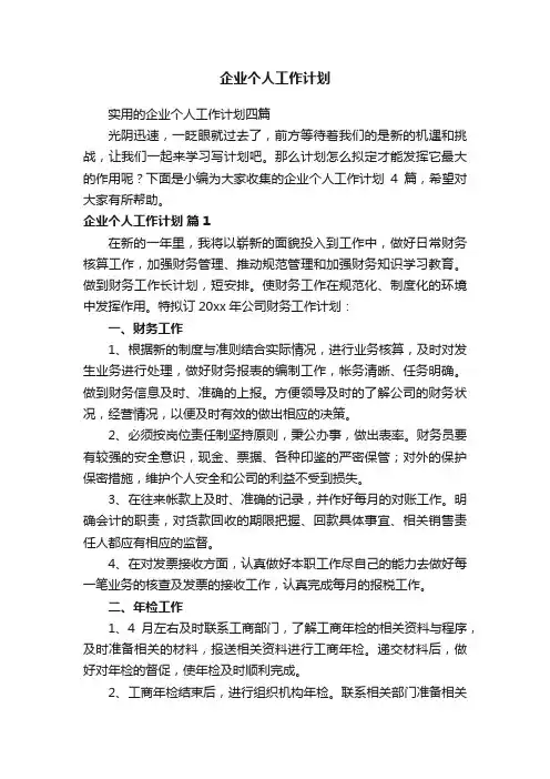 企业个人工作计划