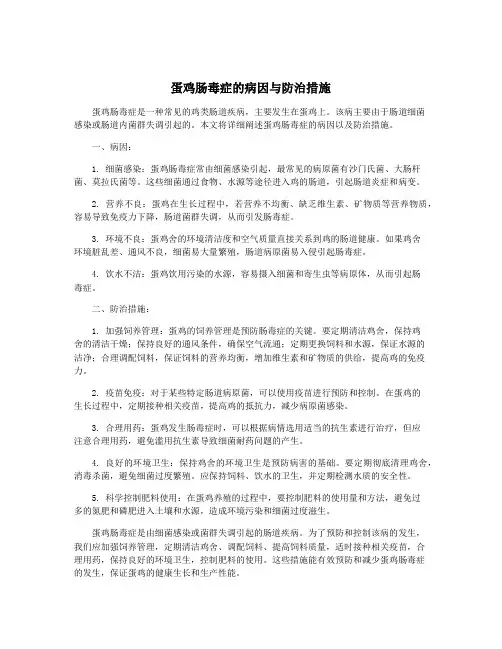 蛋鸡肠毒症的病因与防治措施