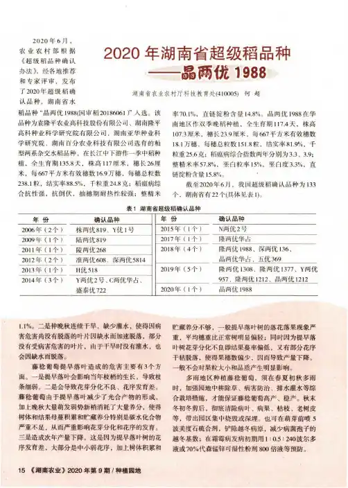 2020年湖南省超级稻品种——晶两优1988