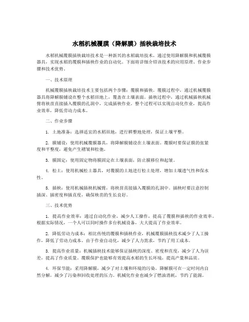 水稻机械覆膜(降解膜)插秧栽培技术