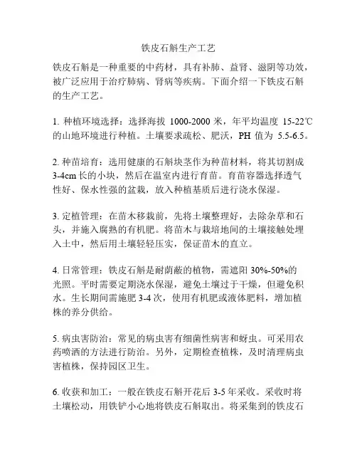 铁皮石斛生产工艺