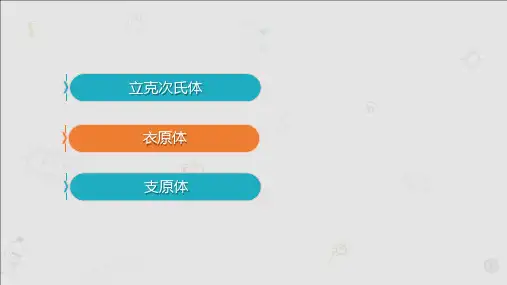 2.11立克次氏体、衣原体、支原体