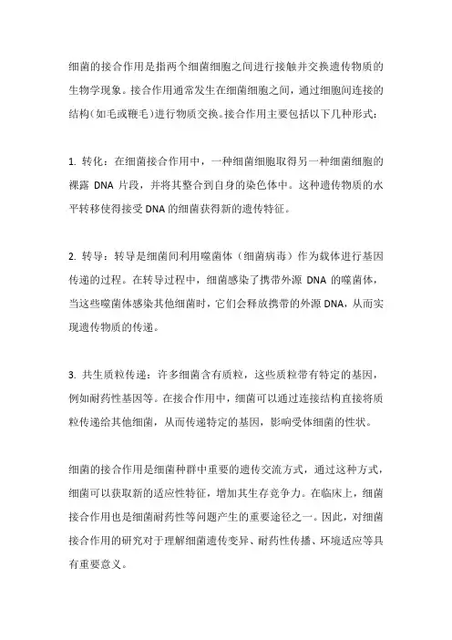 细菌接合作用