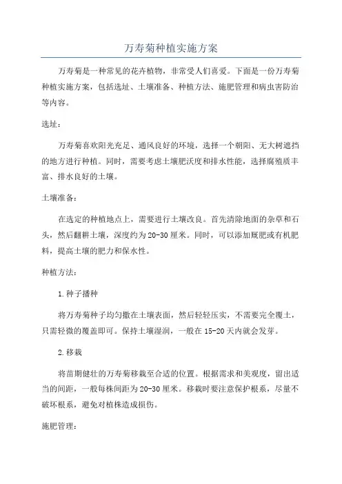 万寿菊种植实施方案