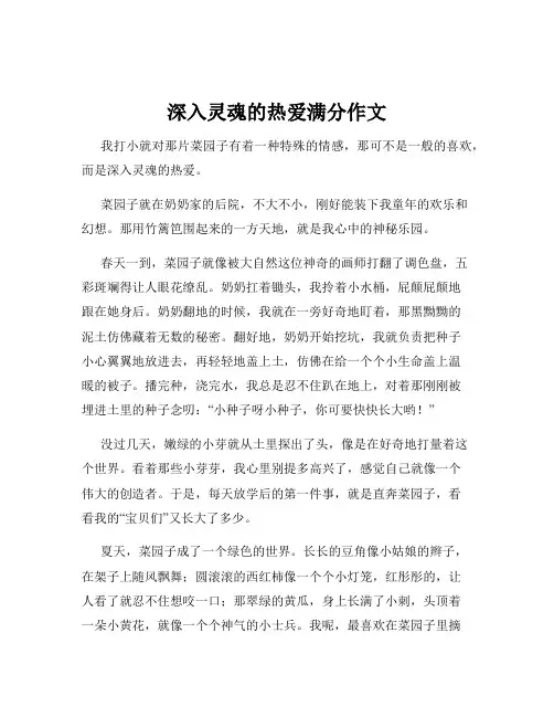 深入灵魂的热爱满分作文